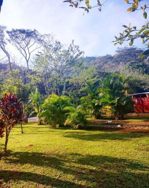 Ixaya * Catemaco