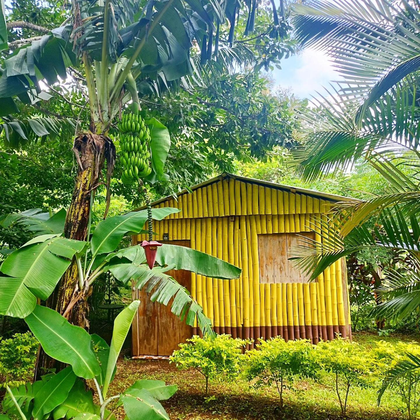 Casa rural Ixaya Catemaco